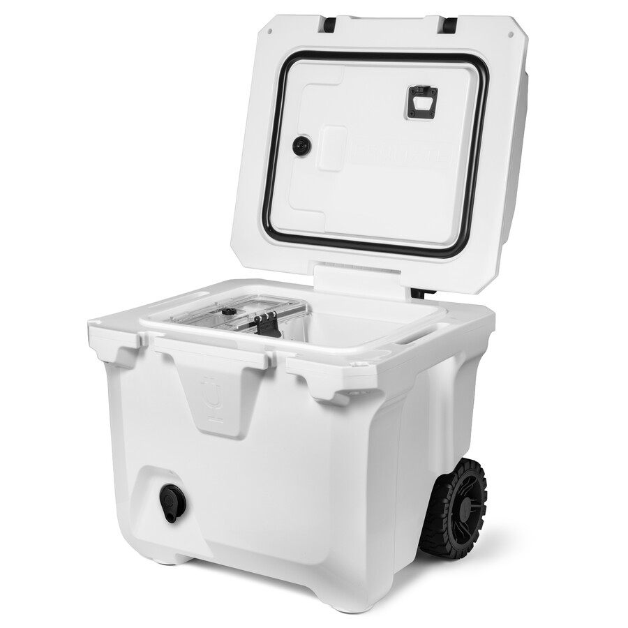 ultimatives kühlbox-set für tagesausflüge